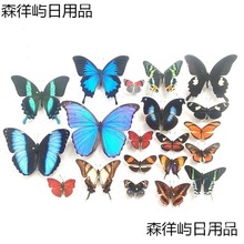 �����չ����Nԭ���s���G�����P���Żҵ����x���x�׃��@�̌W