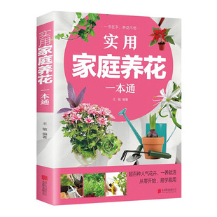 ���ü�ͥ�B��һ��ͨ�ʈDԔ�⻨�ܷNֲ�B�o֪�R�����޼���ֳָ�ϕ�