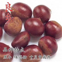 �޽��_������������������ص��Ա����Ϸ�ͥԺ�Nֲ����Y������
