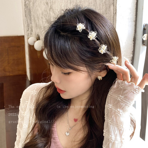 Transparent small number claw hairpin with elegant floral bangs, cute mini side bang hairpin, exquisite hair accessories wholesale