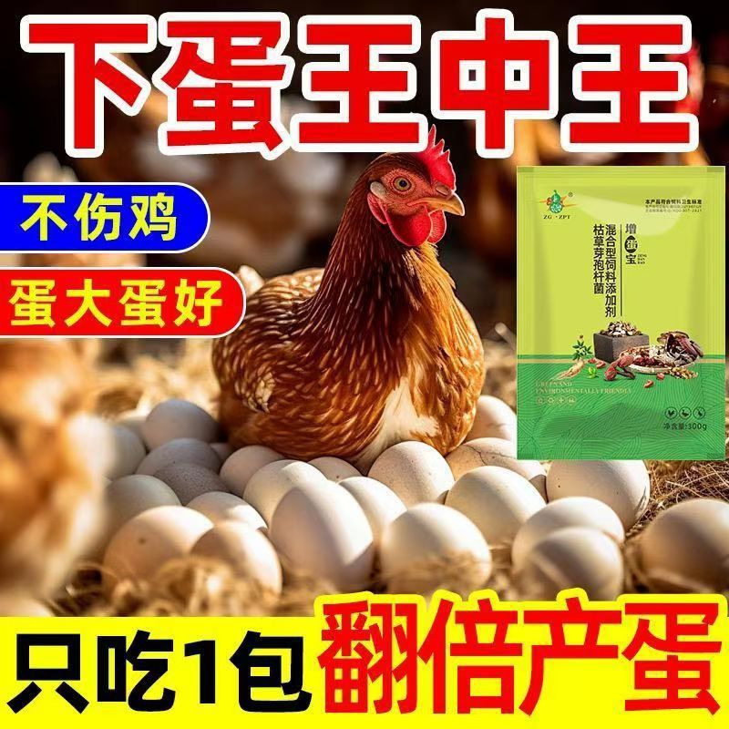 增蛋宝鸡用增蛋产蛋灵鸡鸭鸽子禽用蛋多多催蛋散软壳蛋延长产蛋期