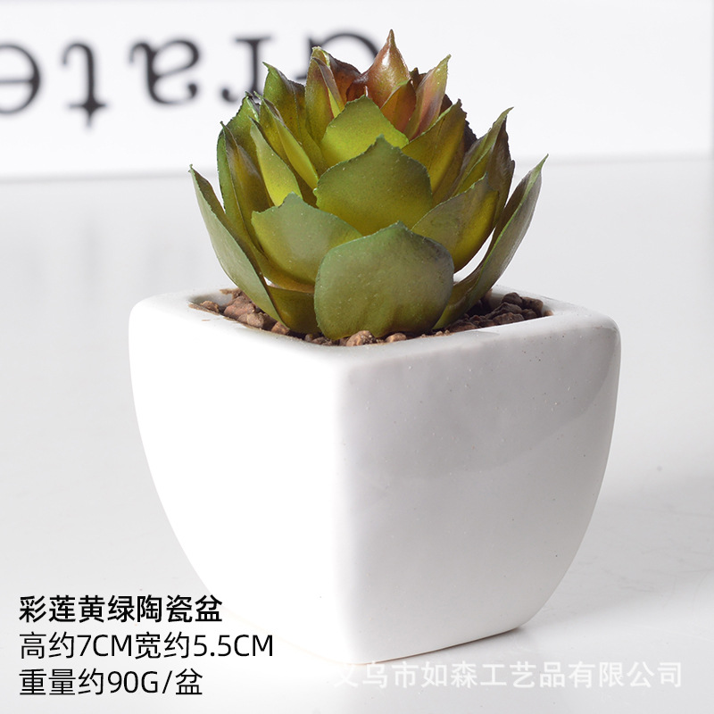 Simulación de cerámica bonsai de carne doméstica decoración de escritorio de oficina plantación verde maceta props de disparo maceta combinada artificial image 15