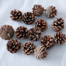 松果批发圣诞节装饰果实松果大小均匀天然油松幼儿园装饰手工材料