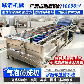 不锈钢气泡清洗机厂家直供 胡萝卜自动清洗机器 咸菜酱菜加工设备