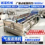 气泡自动不锈钢咸菜清洗机