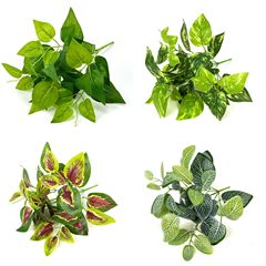 緑のロリの鉢植えの造花をシミュレーションします。緑はペルシャの葉を植えます。