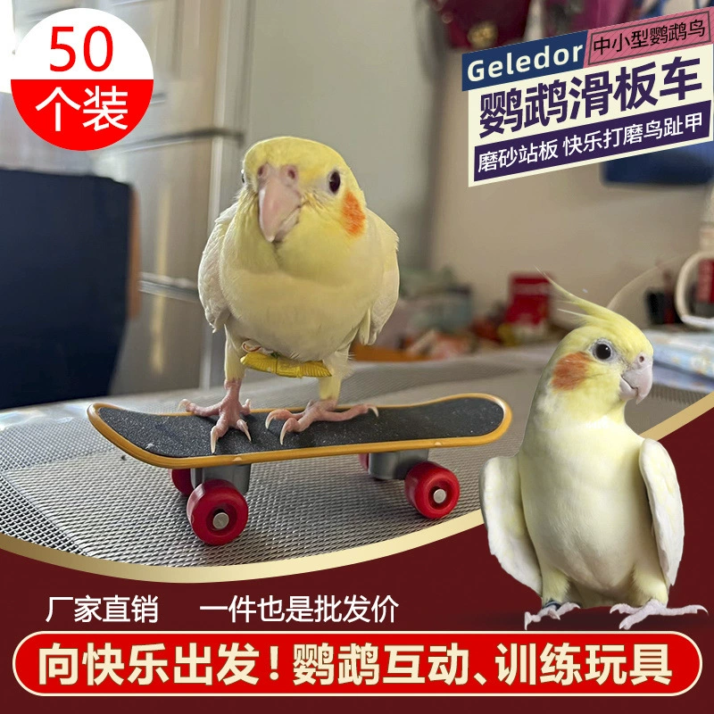 Пион попугай скутер игрушка тигровая шкура Сюаньфэн сопровождает тренировку птиц