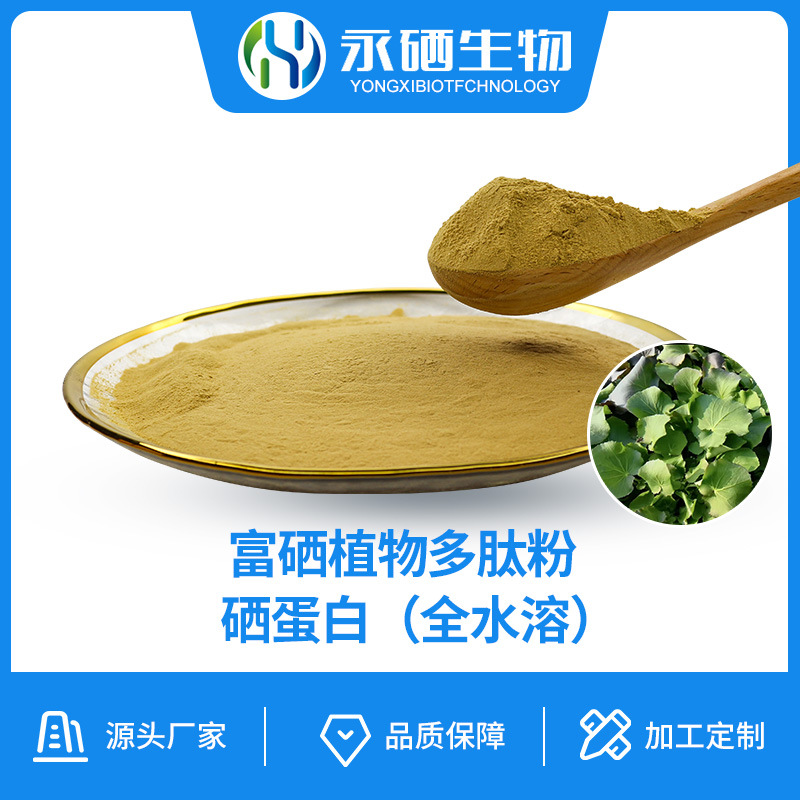 硒蛋白全水溶1000PPM富硒植物多肽粉堇叶碎米荠食品级植物硒