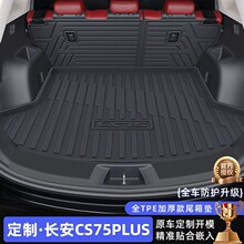 2026��������L��CS75PLUS����TPE�����|Ultra�|�Ĵ������ȫ26