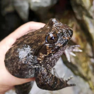 ����ʯ���r��ɽ�����ʯ�[ʯ�����a3��ʯ���r�����l���ú��r