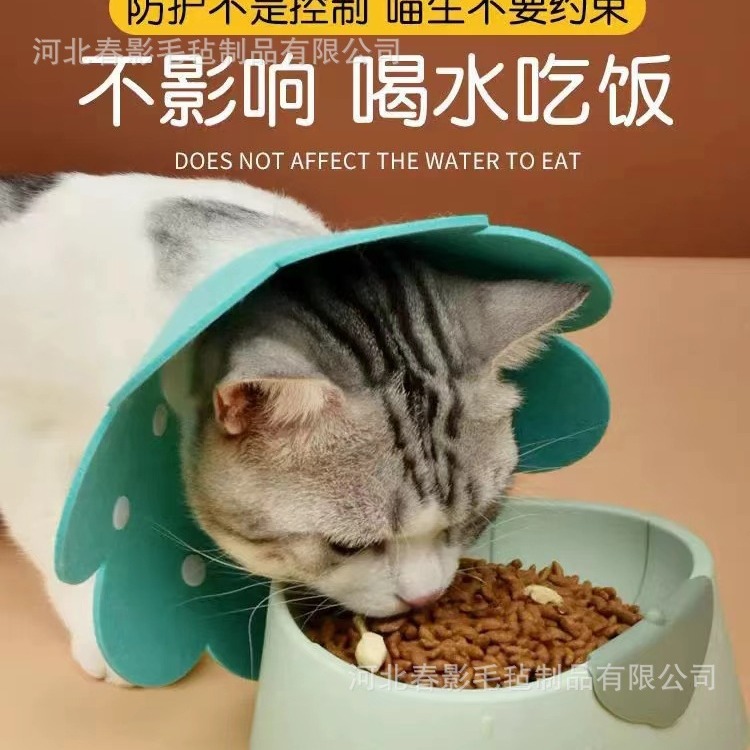 2024-07-16 08:33:33.jpg