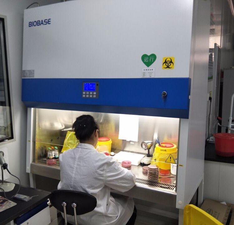 BSC单人全排生物柜5