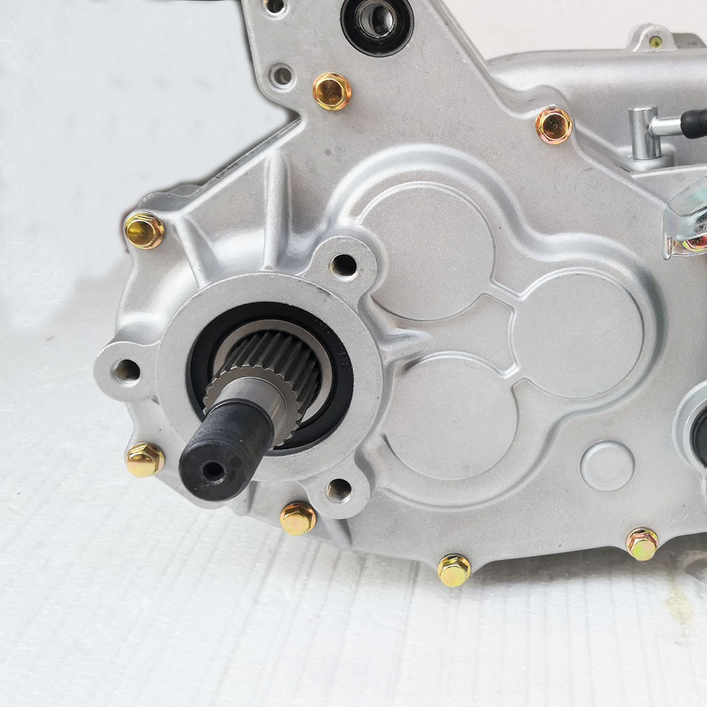 Jinlong Gy6200Cc Engine with Stepless Variable Speed Transmission (Cvt) and Reverse Gear for Beach Vehicles, Go-Karts, and Farm Vehicles, Gasoline Engine