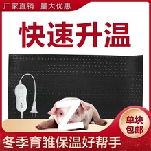 冬季仔猪电热保温板省电快速升温橡胶电热板猪狗羊家禽育雏产床