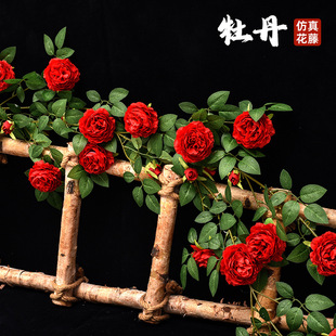 ����ĵ���������ϼٻ��ٗlů���b��ړ�����ֲ��͏d���{�ܵ��p�@
