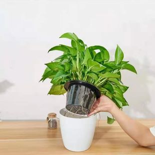 �G�}����ˮ���҃�����ȩ�����՚��L�ٴ��~���������^�Gֲ