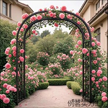 新款拱门花架爬藤架户外花园庭院装饰铁艺葡萄蔷薇月季拱形花支架