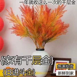 花盆容器;狗狗窝/笼/垫;盆栽