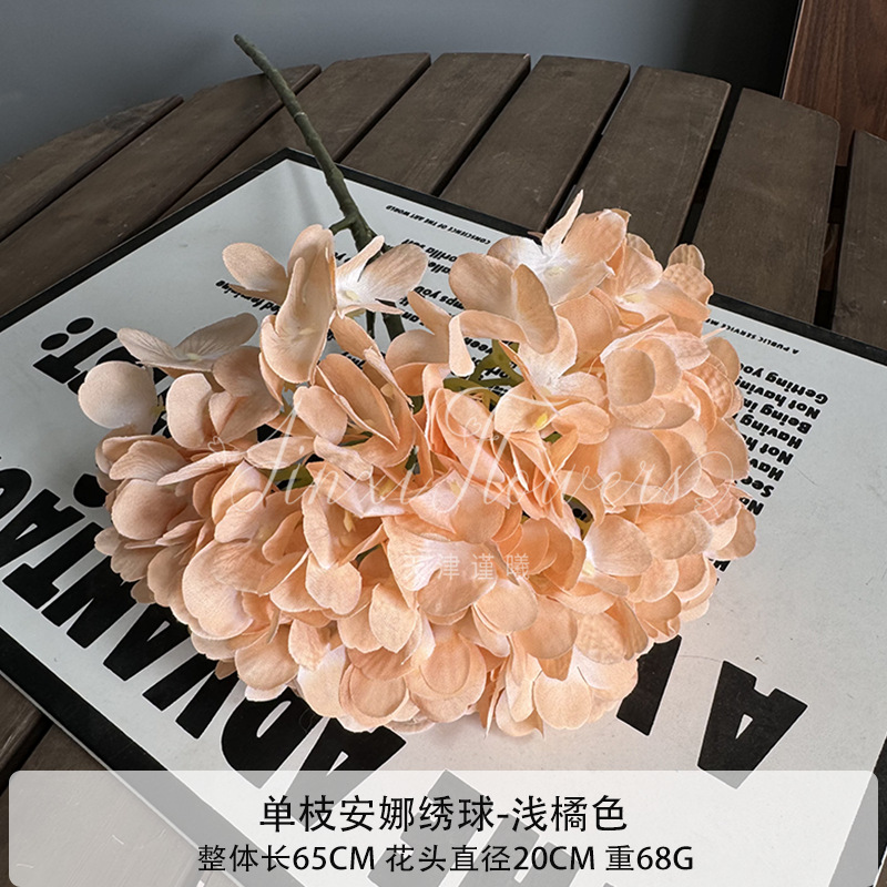팔레 오렌지