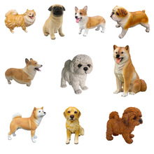 跨境仿真动物名犬模型柴犬泰迪金毛柯基博美秋田宠物狗狗装饰摆件