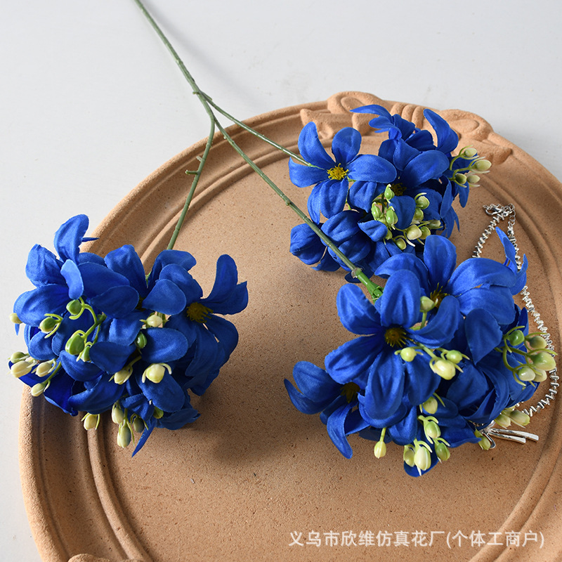Hoa cẩm tú cầu hoang dã màu xanh sapphire