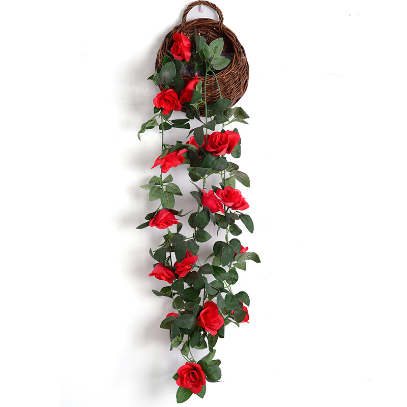 16-Cabeza de rosa de vid roja