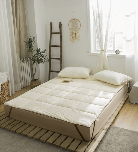 Simple checkered solid color cotton mattress winter thickened warm mattress pure cotton tatami mat quilt anti-slip