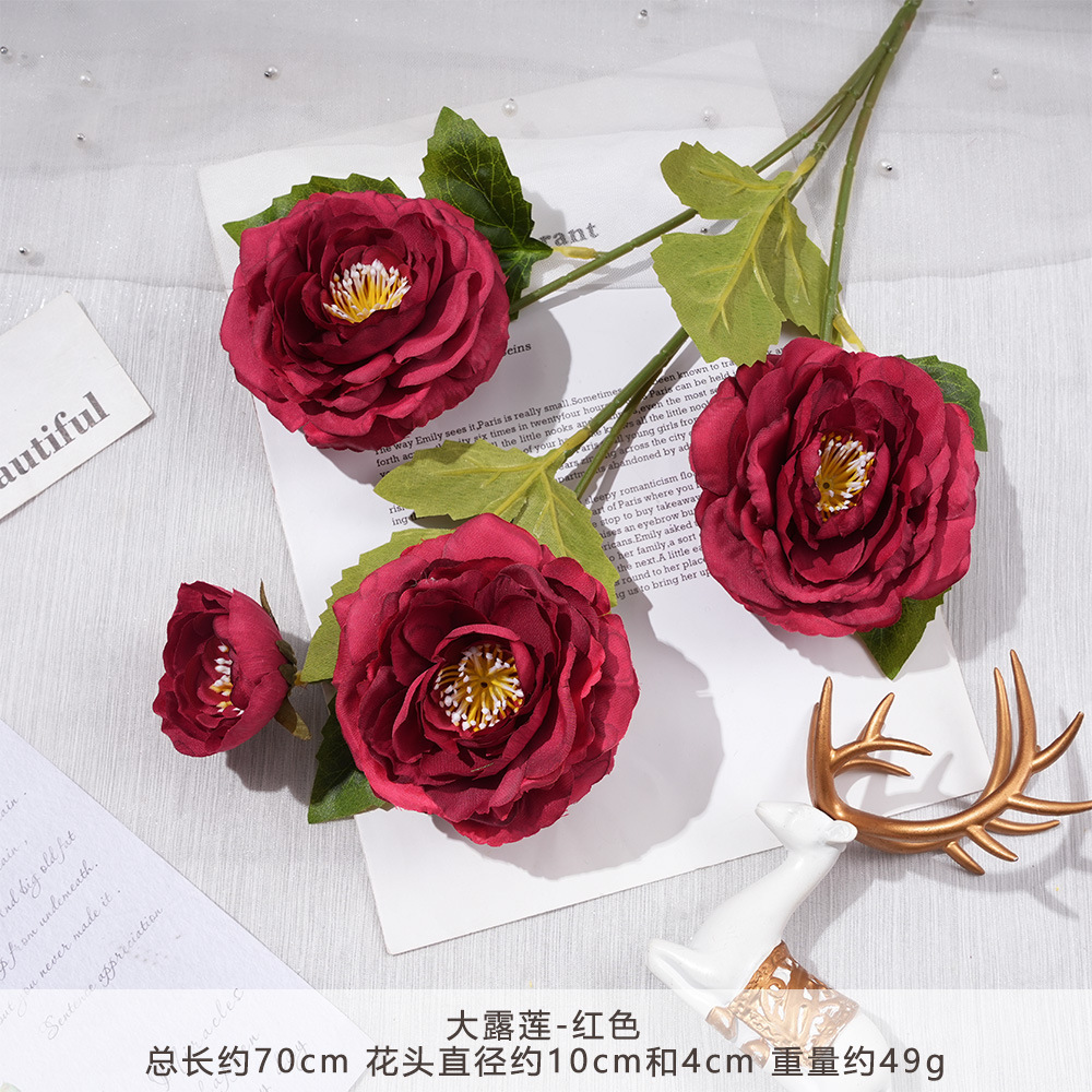 Xc - big dew lotus - red