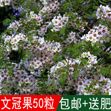 �Ĺڹ��N���Ĺڻ��N��ľ�Ĺٹ���ľ�Ͽ�ե���е���N�²���ľ�N��