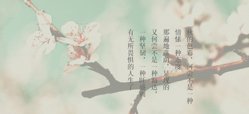 hmqViviiyNSAyin+WuaUt9Ly9Vn1po3UWEi5