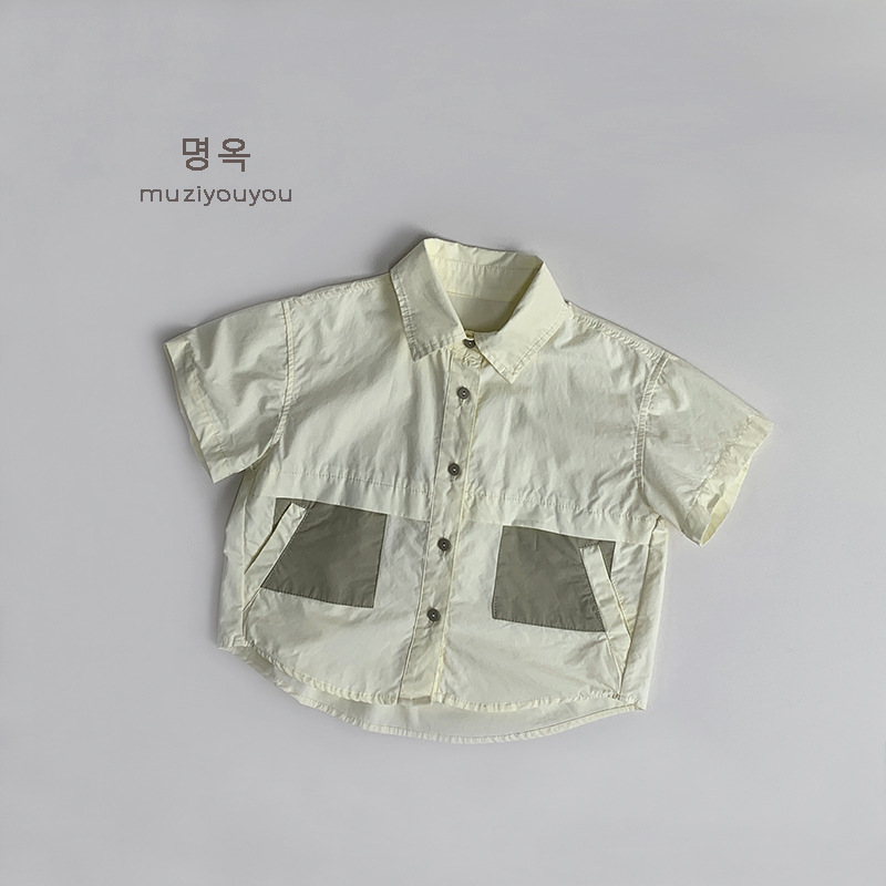 Color albaricoque de arroz