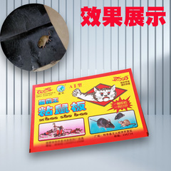 Wholesale Glue Boards Mouse Traps Glue Sticker Household Mouse Catcher Mouse Glue Glue Board Mouse Trap Sticker