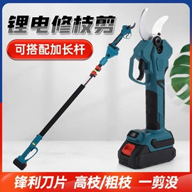 修枝剪;电链锯;电动吹风机