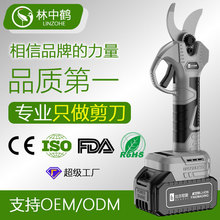 �羳�o�K늄Ӽ��������@�ּ�����֦����������ʽ�@�ָ�֦��