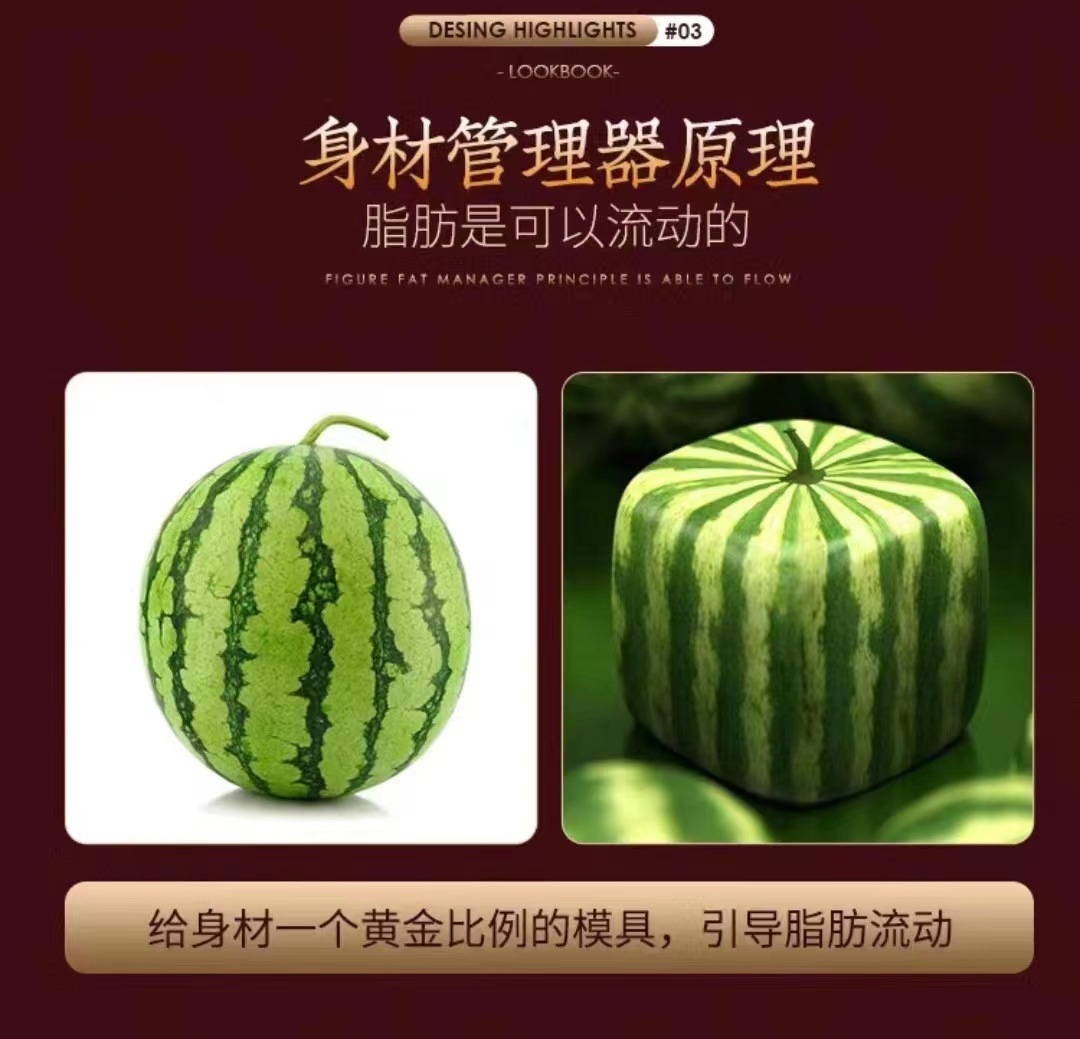 微信图片_20231119223054