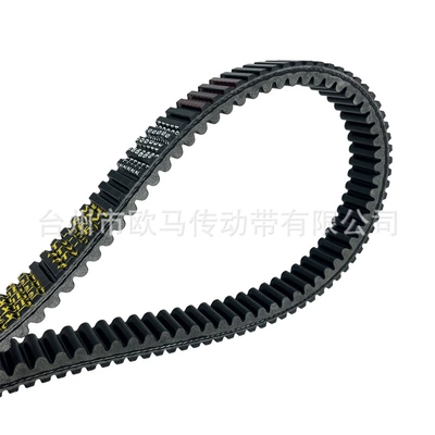 Belt 1000 snowmobile 1000WT/SWT