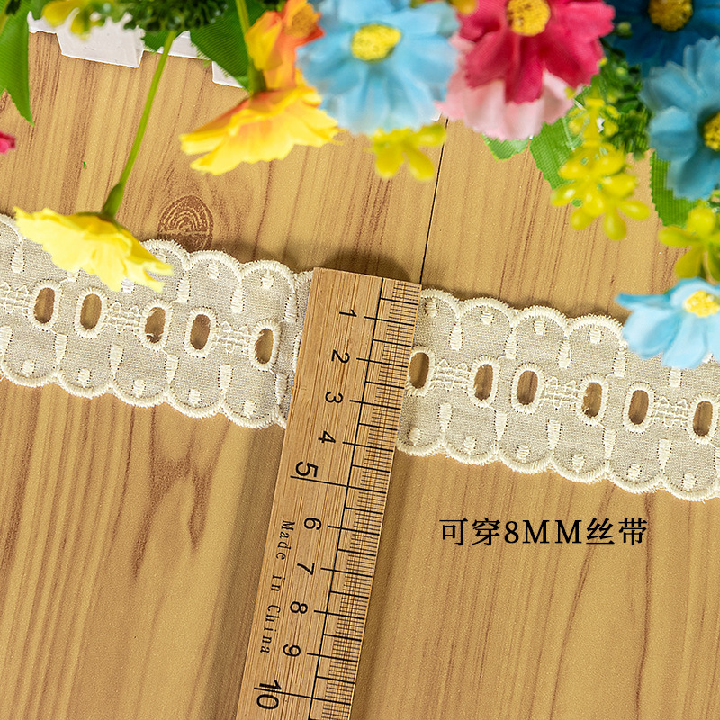 A23351 배아
