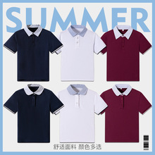 ��Ʒ��Сѧ��У������POLO���ļ�Ӣ��ѧԺ����t����Ůͯ�������