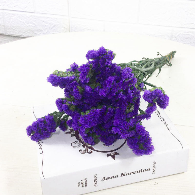 보라색 10개 - 둥근 배꼽 꽃바구니 포함