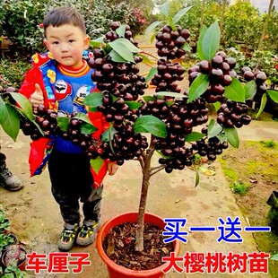 ܇���Ә������Ҙ����԰����Ϸ������Nֲ���Ҙ��玧�����Ҙ�