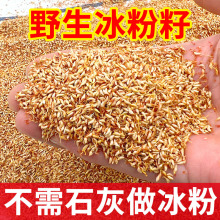 �ִ�����Ѳ���ʯ��Ұ������ľ������Ȼ޵�������������������l