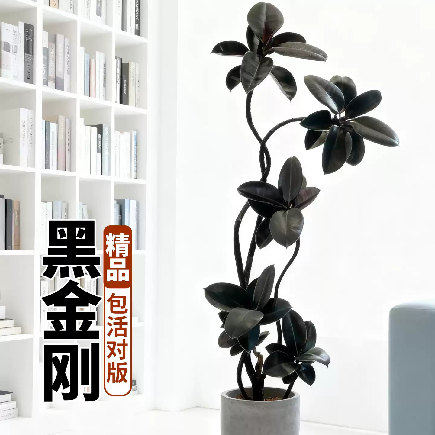 商品图