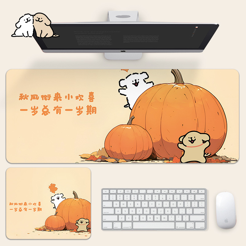 뉴라인 강아지 43