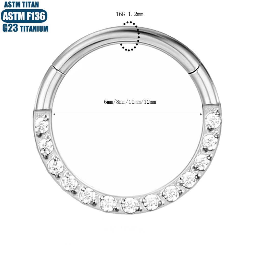 F136 Implant Grade Titanium Alloy Nose Ring Earring with Zircon CNC Seamless Ring - Fashion Geometric Jewelry detail image 13