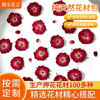 wow定制手工干花压花正压玫瑰花手机壳滴胶diy材料包扇子蜡烛压花