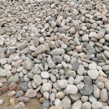 鹅卵石变电站用5-8公分河卵石公园景观铺路用鹅卵石