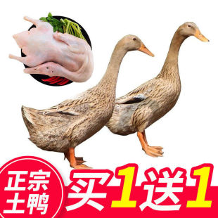 (�Iһ��һ)�r��ɢ�B�������������Ӳ����חl���������r�F���Ї�