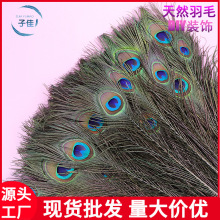 孔雀毛90-100cm孔雀羽毛批发饰品配件插花 天然羽毛装饰
