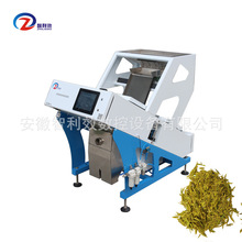小型自动化春茶叶拣梗机茶叶精选设备绿茶筛选分类茶叶色选机小型