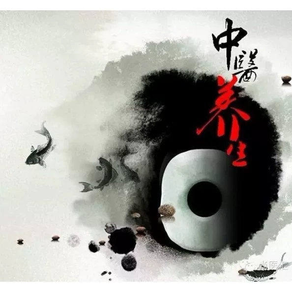 Гранулы мелкая упаковка экстрагирования концентрированные мульти-производители